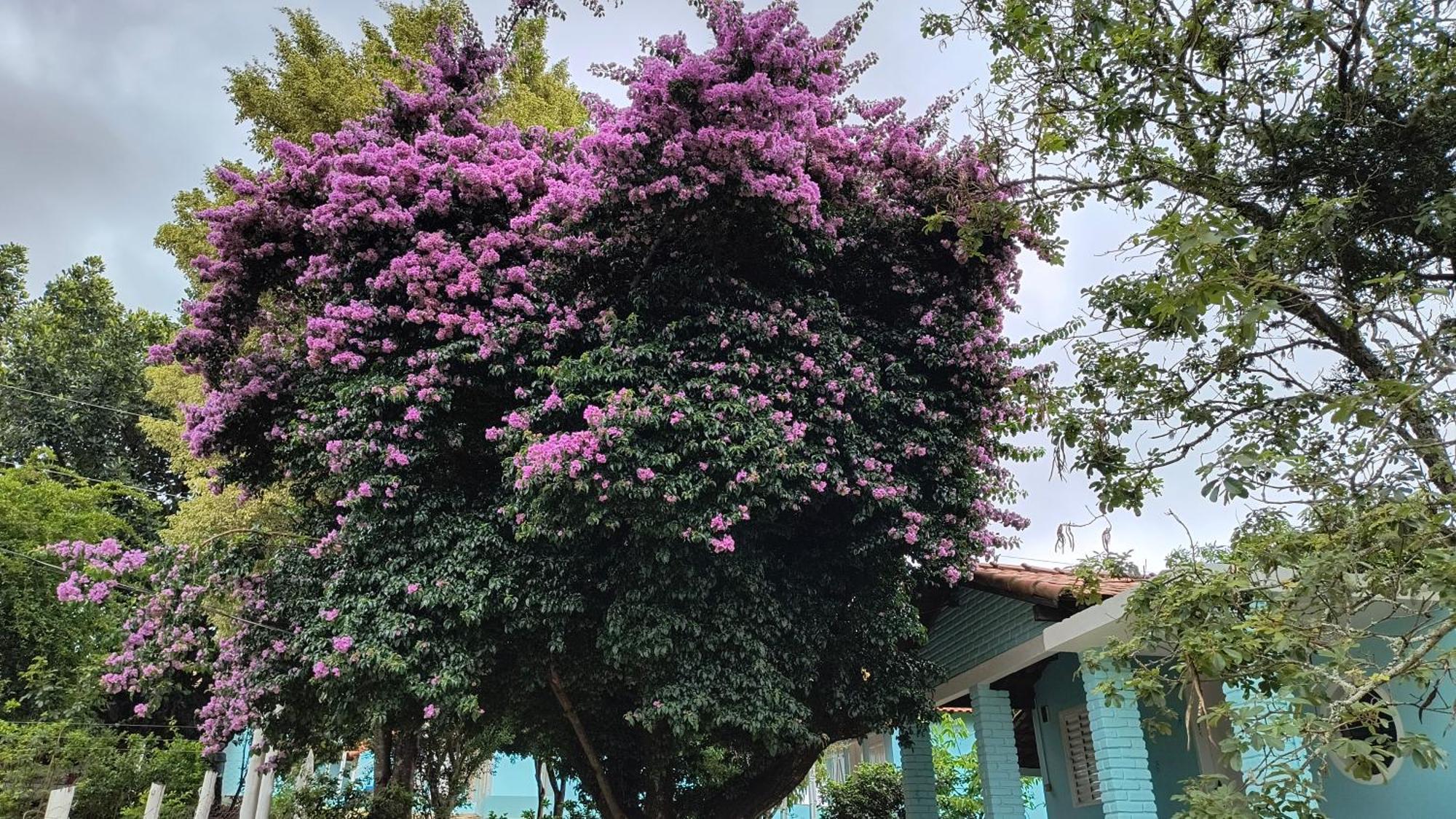 Pousada Recanto Do Sossego Hotel São Tomé das Letras Bagian luar foto