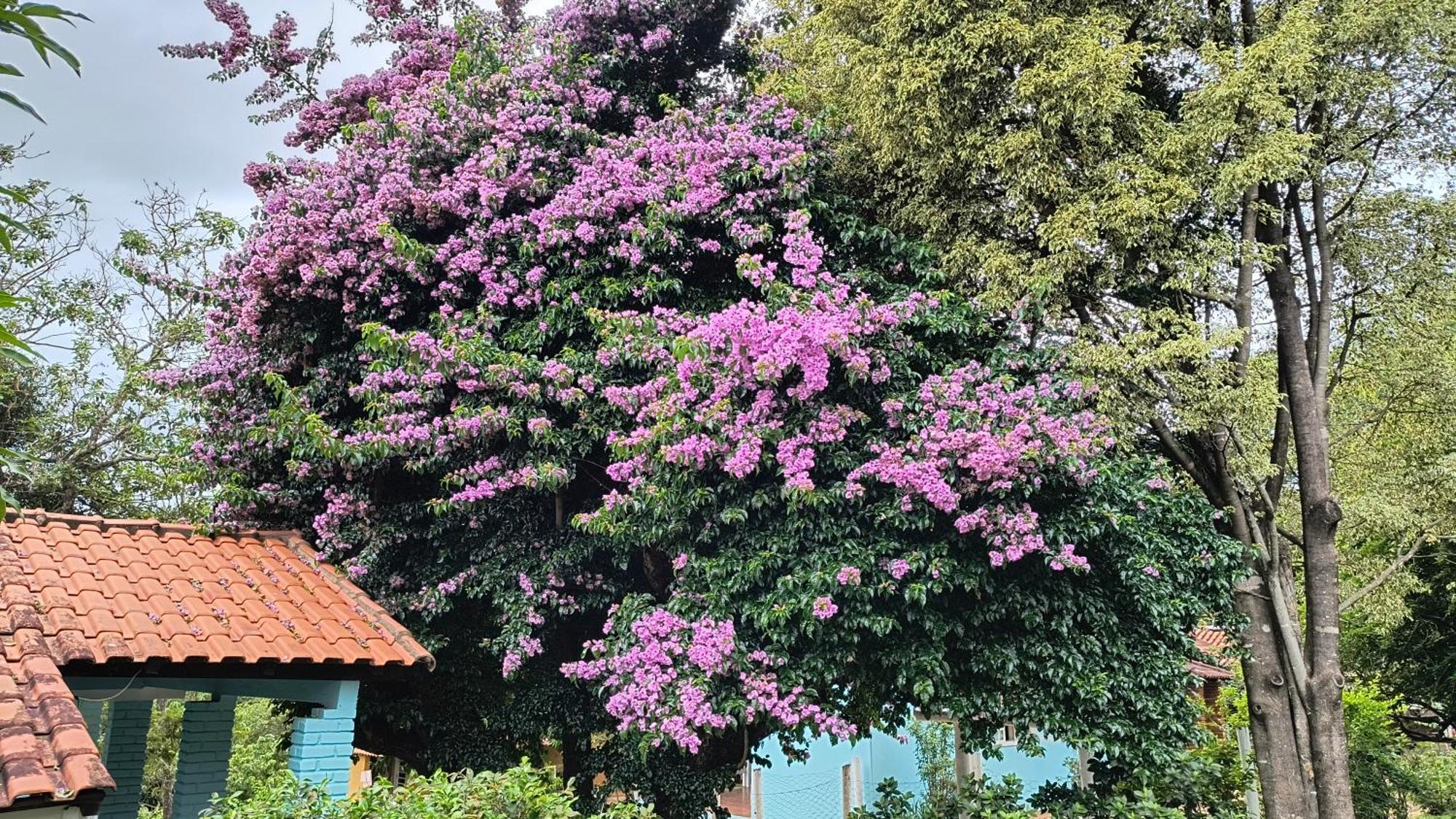 Pousada Recanto Do Sossego Hotel São Tomé das Letras Bagian luar foto