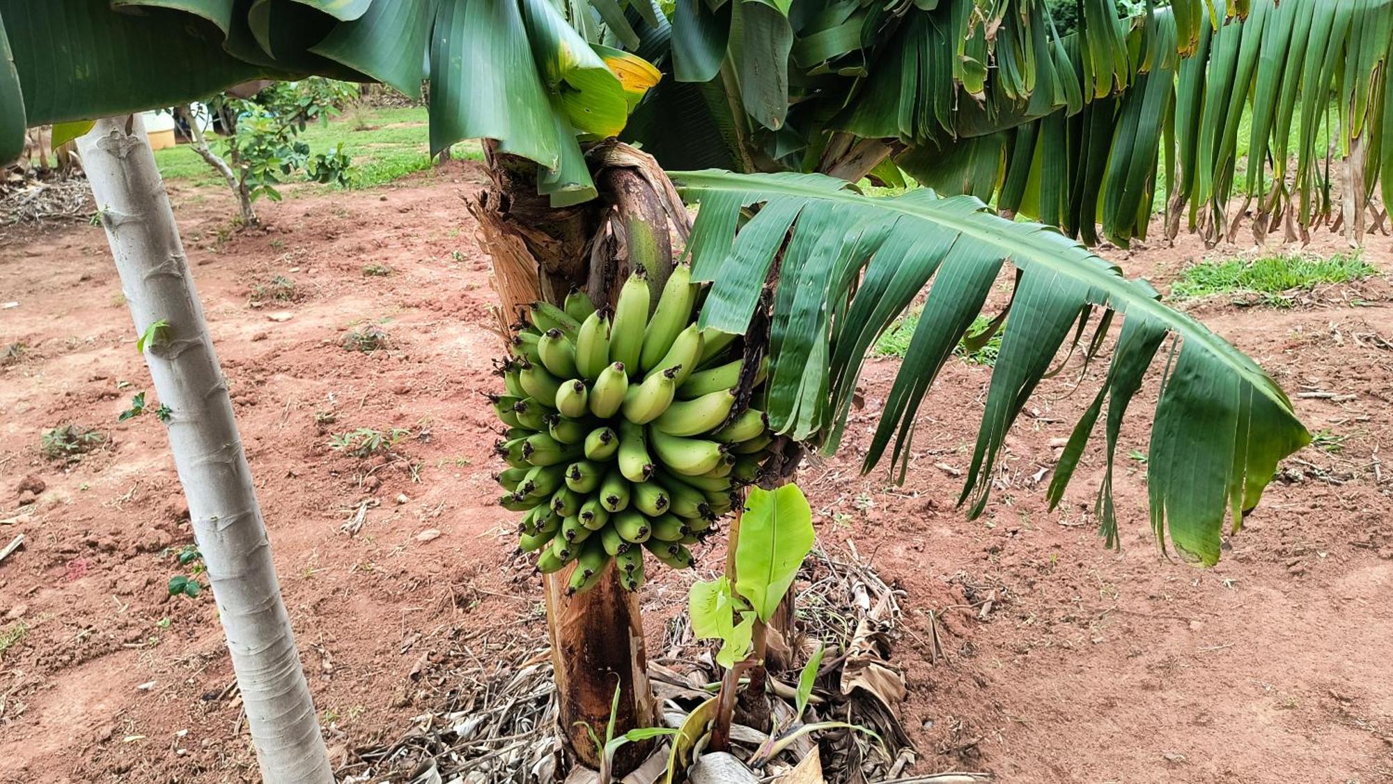 Pousada Recanto Do Sossego Hotel São Tomé das Letras Bagian luar foto