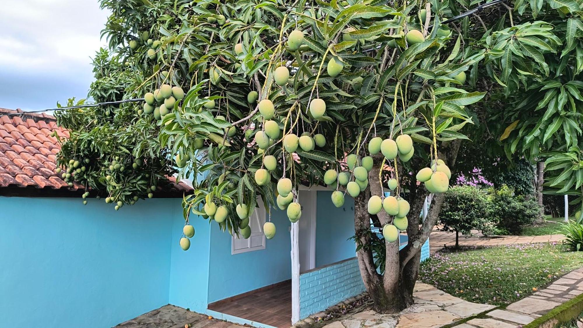 Pousada Recanto Do Sossego Hotel São Tomé das Letras Bagian luar foto