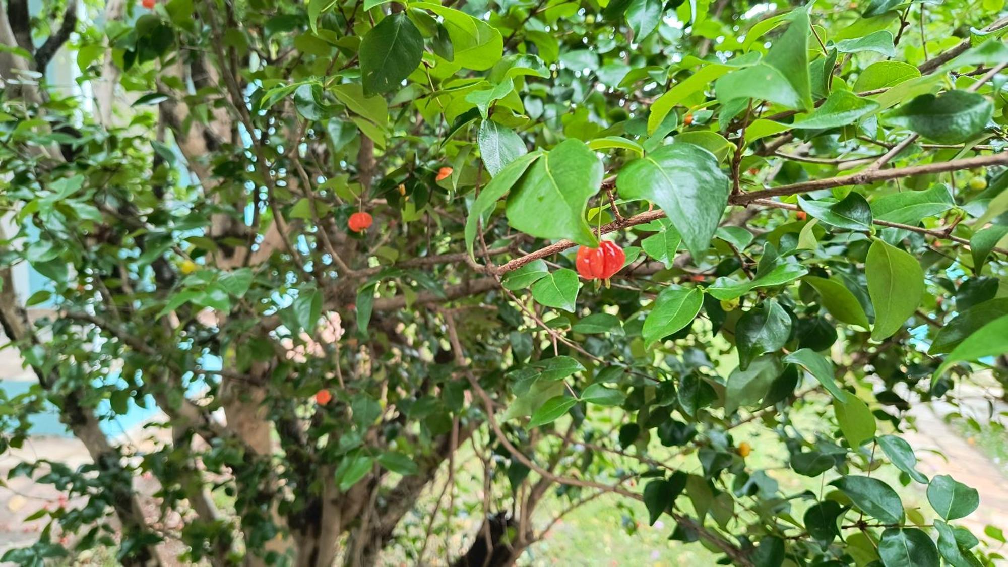 Pousada Recanto Do Sossego Hotel São Tomé das Letras Bagian luar foto