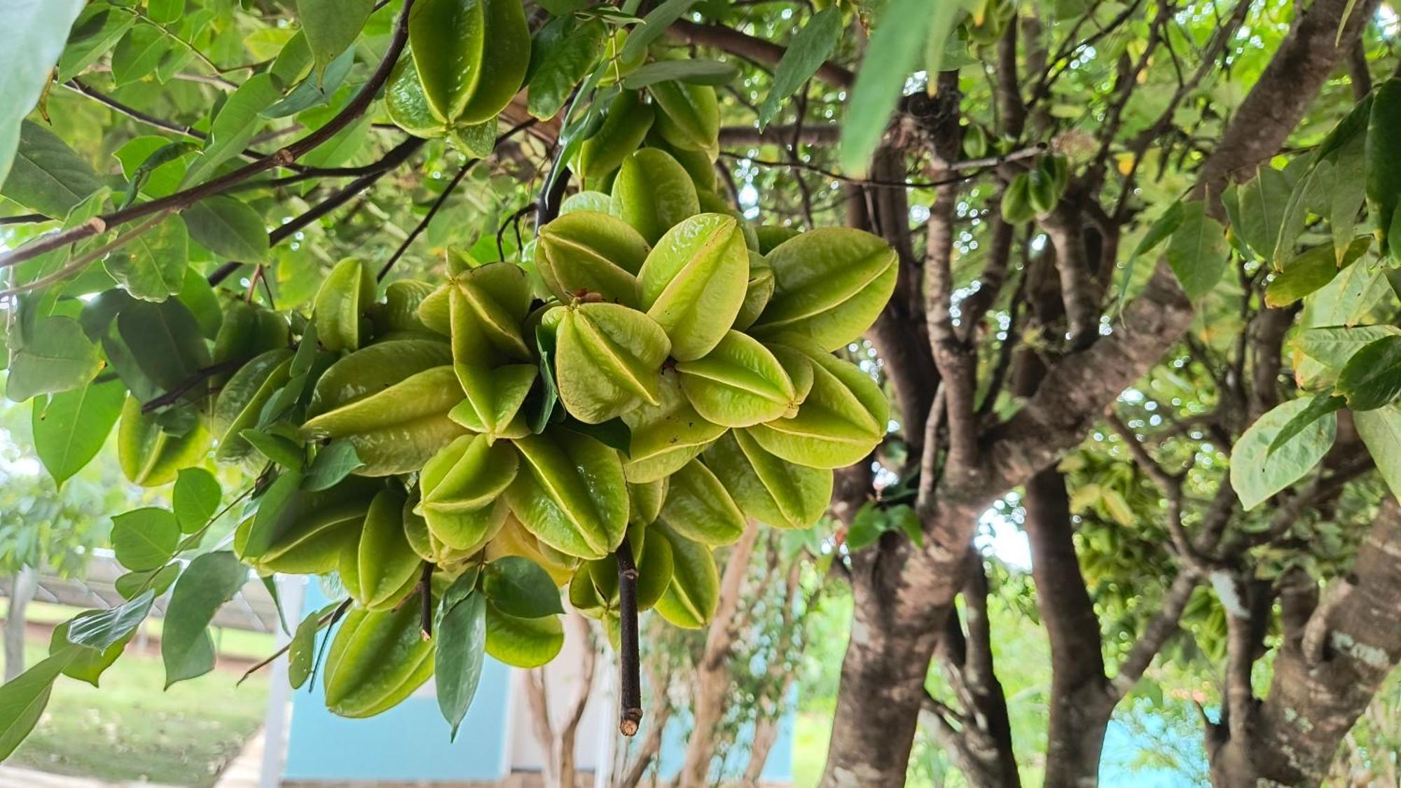 Pousada Recanto Do Sossego Hotel São Tomé das Letras Bagian luar foto